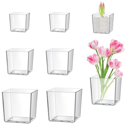 6 Stück Quadratische Transparente Vase Blumenvase 12,5cm/10cm/8cm Blumentopf Tafelaufsatz für Zuhause Hochzeit Party Dekoration