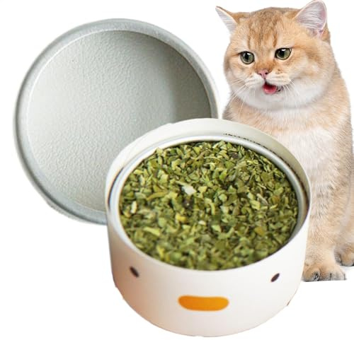 Catnip Leckereien für Katzen, Katze Nip | Safe getrocknete Katzenminze Interaktives Spielzeug für Innenräume,Haustier Training Futterpulver Entspannung Leckereien für Hund, Haustier, Welpe, Kätzchen