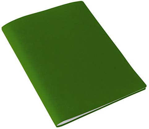 Sichtbuch A4 halbstarr grün 100 Hüllen 12 Stück