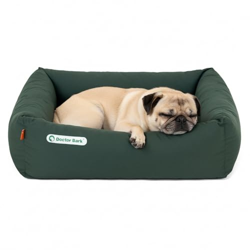 Doctor Bark Hundebett Orthopädisch - Waschbar bis 95°C, Geruchsfrei & Hygienisch - Kuscheliger Hundekorb Kleine Hunde mit Hundematratze (S - 70x60 cm, Grün)