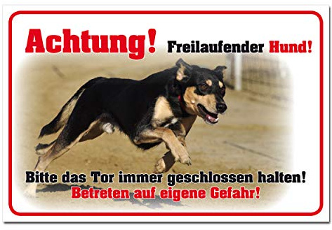 BUEWA Schilder Warnung Freilaufender Hund Gefahr Bauschutzschild Hartschaum 30 x 20 cm