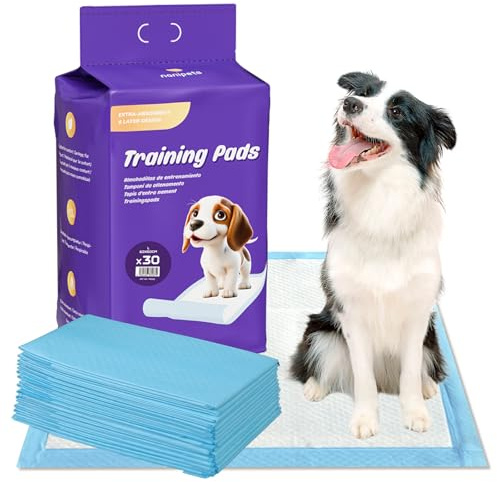 Nanipets® Trainingspad für Hunde Welpenunterlagen, Superabsorbierendes & Auslaufsichere Wickelunterlagen, 60 x 60 cm Extra Große, Dicke Pet Pads, 30 Stück