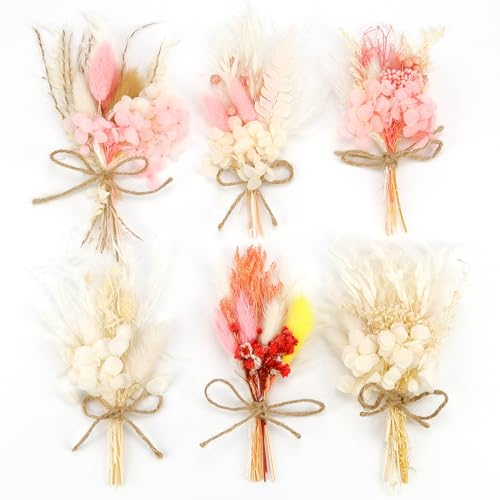 Jeinbuil 6 Bündel Trockenblumenstrauß Klein Trockenblume Mini Trockenblumen Zum Basteln Getrocknete Blumen für Bilderrahmen DIY Heim-Party Und Hochzeitsdekoration
