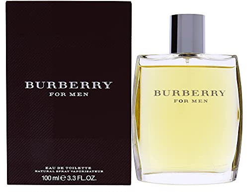 Burberry 3386460080019 Parfüm - Edt, 1er Pack (1 x 100 ml)
