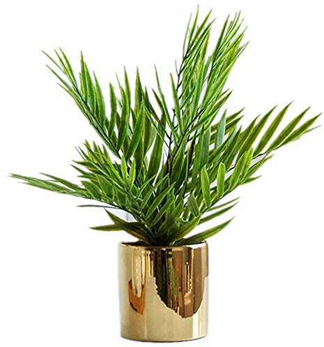 ZENGYUAN, pianta grassa in Vaso con Foglie Verdi per Piante grasse, Decorazione da Tavolo, per Interni e salotti F