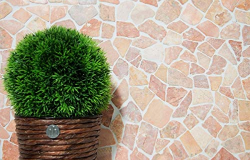 Mosaik Fliese Marmor Naturstein rot Bruch Ciot Rossoverona MOS44-30-140_f