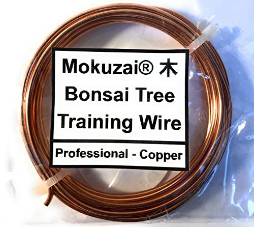 Bonsai Tree Styling & Training Wire Professional Annealed Bare Copper 2mm 300cm