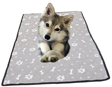 FOMIYES Autositzbezug Für Hunde Haustier-autounterlage Atmungsaktives Material Einfaches Und Praktisches Design