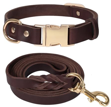 LWBMG Hundehalsband und Leine, Leder, strapazierfähig, mit Metallschnalle, verstellbare Hundeleine und Halsband, weiche Hundeleine und Halsband für kleine und mittelgroße Hunde, 152 cm, Braun