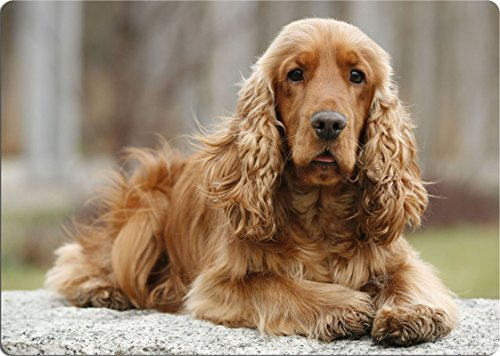 Nanyuk +++ Cocker Spaniel - SCHNEIDEBRETT Dekoteller Glasbrett Dekoglas - CKS 03
