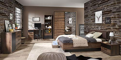 FORTE JACKY Schrank 170, Kleiderschrank mit Spiegel, Schwebetürenschrank Industrial Schlafzimmer, 2-türig, Dunkel Dekor: Script-Schlameiche, 170 cm breit x 210.5 cm hoch x 62.5 cm tief