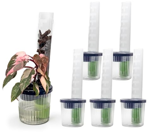 THICCLY Medium GrowLid 5 Pcs (Royal Blue) - Self Watering Clear D-Shaped Plastic Moss Pole Hydroponics Growing System Kratky Hydroponic Kit Moss Pole Monstera Plant Support Philodendron and Anthuriums