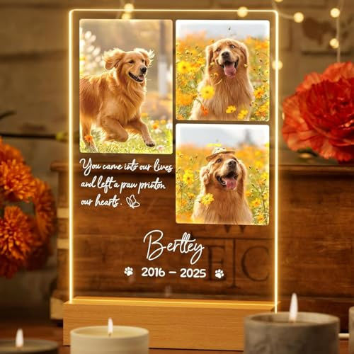 Marco de fotos personalizado para perros y gatos, marco de fotos personalizado para mascotas, marco de fotos acrílico con luz nocturna, 3 fotos