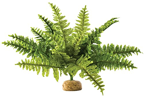 Exo Terra Boston Fern Terrarium Plastic Plant, Medium