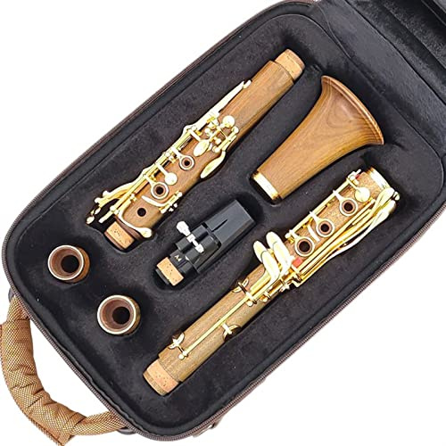 Professionelle Klarinette Holz Professionelle Klarinette BB Vergoldete Tasten SIB Klarnet Klarinette