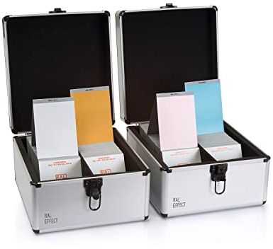 RAL E1 scatola con 490 standard di effetto RAL