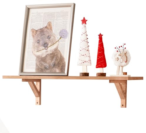 TREOAKWIS Schweberegal Eiche 60cm Wandregal Holz Dekorative Regal Wandboard