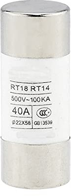 SXJAAR Fusibile 2 pezzi 500 V 22 x 58 mm fusibile tubolare ceramico a rottura rapida 40 A 50 A 63 A 80 A 100 A 125 A(125A)