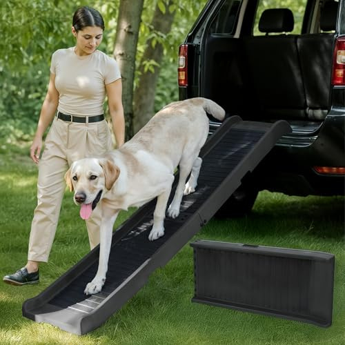 Hunderampe Auto Klappbar – 174 cm Lang & 38 cm Breit – rutschfeste Gummi Rampe für große Hunde – Stabile Hundetreppe Auto & SUV - 85kg Belastbarkeit – Klappbare Hundeleiter Auto – Hellgrau