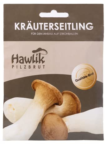 Hawlik Pilzbrut - Kräuterseitlinge auf Stroh züchten - frische Pilze einfach züchten - 20 Pilzdübel mit Mycel geimpft - Kräuterseitlinge selbst züchten
