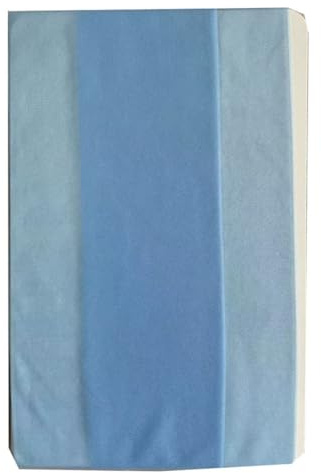 GreatRise 2 paia di collant da donna, 5 den, trasparenti, collant sottili a vita alta in nylon, antistrappo, collant di seta opachi, collant a sostegno per festival Lolita, Celeste., Taglia unica