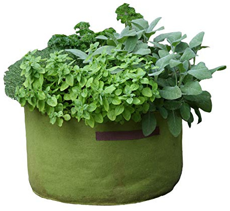 Pflanzbeutel Haxnicks VIG080101 Vigo Pots, Grün, 18 x 18 x 20 cm, grün, 45 x 25 cm
