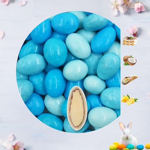 EinsSein 0,5kg Schokoladeneier Osterei Schoko Geschmacksmix hellblau-blau |Schokoladeneier für Kinder Erwachsene | Schokoei Ei für Ostern | Leckere Ostersüßigkeiten Süßigkeiten für die Osterhasen