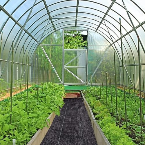 Geotextil-Landschaftsgewebe, Bodendecker, Garten-Unkrautschutzgewebe für Gartenpflanzen, Mulchmembran, Landschafts-Bodendeckermembran (0,8 x 200 m)