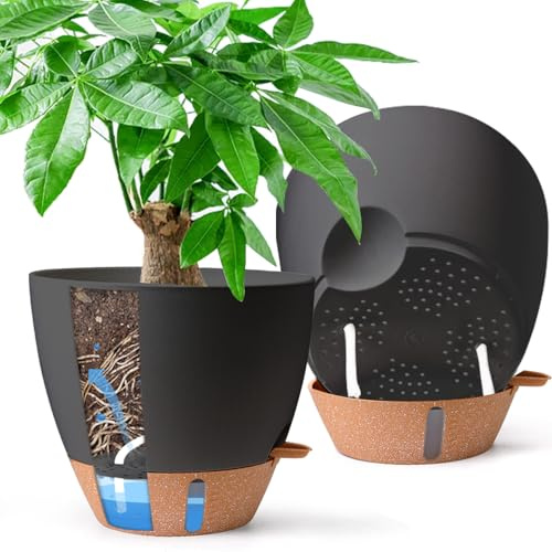 T4U självvattnande blomkrukor, 25 cm, svart, 2-pack | synlig vattennivå, brunt fat, dräneringshål, monstera och gröna växter, för fönsterbräda och vardagsrum