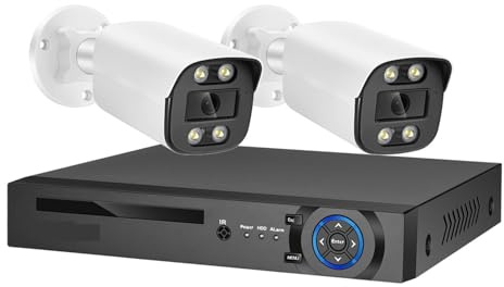 Sistemi di telecamere CCTV, 8MP 4K Face Detection Telecamera di sicurezza IP AI POE NVR Kit CCTV Visione notturna a colori Video sorveglianza domestica esterna(NONE,4CH NVR 2 AI Camera)