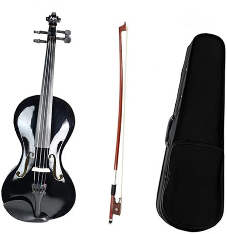Geige Akustische Violine 4/4 Violine Geige Brasilholz Bogen Schutz Violine Fall Violine SET