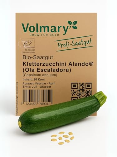 Kletterzucchini Samen Alando® (Ola Escaladora) Bio-Samen, Saatgut, dunkelgrüne Früchte, wüchsige Kletterpflanze