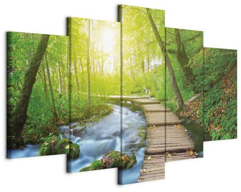 B&D XXL - Tableau Acoustique Paysage 200x100 cm 5 Parties - Décoration Murale Anti-Bruit Isolation Phonique Bureau Chambre Panneau Insonorisant Impression sur Toile - Nature Paysage c-A-0081-b-n