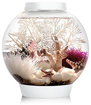 biOrb 72001 CLASSIC 15 LED, 15 L, weiß - Acryl-Aquarium in Kugelform, Komplett-Set mit patentiertem Filtersystem, LED-Beleuchtung