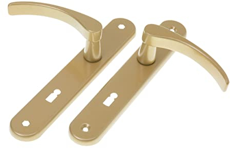 Aqbau® Poignée de porte longue plaque dorée | Poignée de porte | Poignée de porte | Poignée de porte | Ferrure de porte (BB Buntbart)