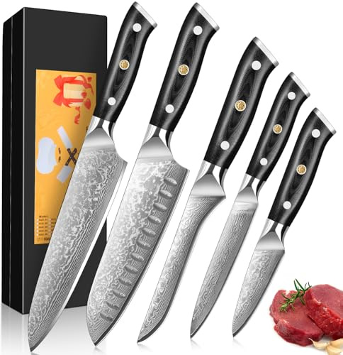 Home Safety 5er Damastmesser Set - Damast Kochmesserset mit Klingenlängen von 8.2 cm bis 20.4 cm aus 67 Schichten Damaszenerstahl mit G10-Griff - Scharf & Ausbalanciert