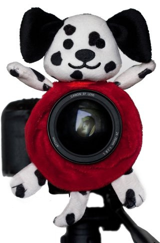 Shutter Huggers Dalmatian Shutter Hugger DAL001