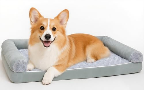 MDDK DY Orthopädisches Hundebett 75×50×15 cm, Grau – Sofa-Design mit Rand, Plüsch-Rosenmuster, Abnehmbarer Waschbarer Bezug, rutschfest & Wasserdicht, Hundebett mittelgroß für mittelgroße Hunde