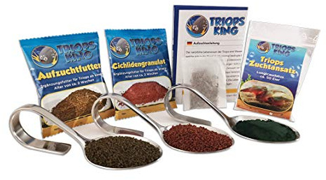 Triops King – Triops Longicaudatus urtidskräfta startset för nybörjare och barn – odla urtidskräftor själv – 50 urtidskräftägg från Tyskland inklusive foder och uppfödningsinstruktioner.