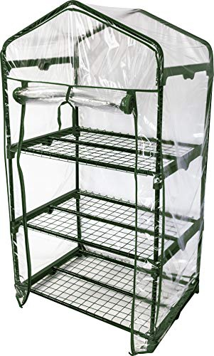 Windhager Balkon Frühbeet Folien-Gewächshaus für Kräuter, Tomaten & Co 68x49x128cm