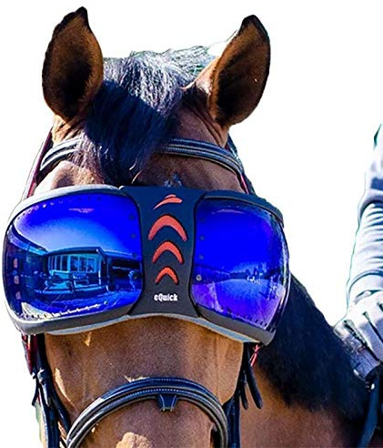 EQUICK Brille Pferd eVysor