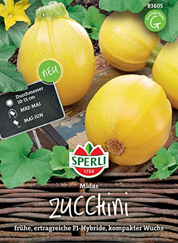 Sperli Zucchinisamen Midas, F1 - Frühe Zucchinisorte mit 10-15 cm runden, leuchtend gelben Früchten - Ideal zum Füllen - Zucchinisamen für den Garten - Zucchinipflanze Gemüsesamen