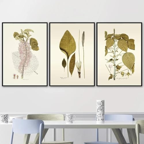 LTjiajuypd Hyazinthen-Wegerich-Pflanzenposter, Vintage-Wandkunst, Leinwandgemälde, nordische Poster und Drucke, Bilder für die Raumdekoration, 50 x 70 cm, 3 Stück, ohne Rahmen