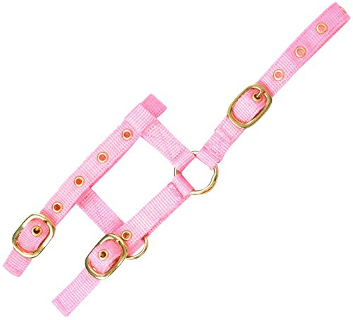 Verstellbares „Mini Halfter Rosa