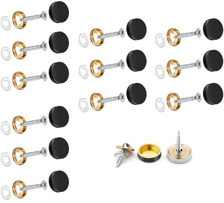 Wopanxye 12 ensembles de vis en acier inoxydable pour miroir de 16 mm, vis décoratives avec couvercle brossé, vis à couvercle pour miroirs, meubles, panneaux muraux dans la salle de bain, clous pour
