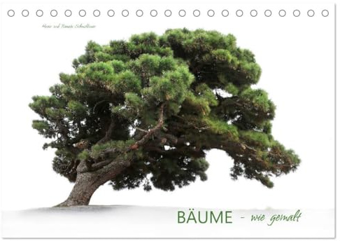 BÄUME - wie gemalt (Tischkalender 2026 DIN A5 quer), CALVENDO Monatskalender: Verschiedene Baumarten, meist im Nebel fotografiert sehen aus als wären sie von einem Künstler gemalt.