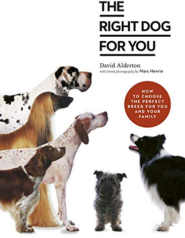 Your Dog Selector: The Complete Guide to Picking the Perfect Breed: How to choose the perfect breed for you and your family