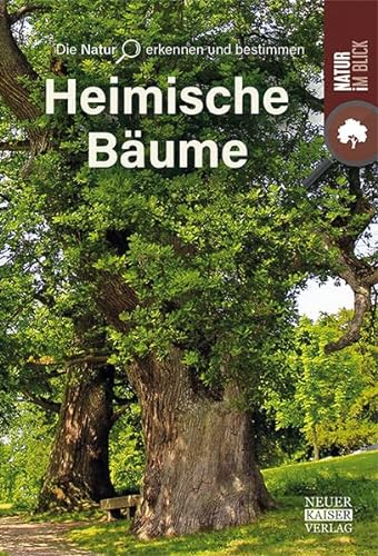 Heimische Bäume: Die Natur erkennen und bestimmen - Natur im Blick