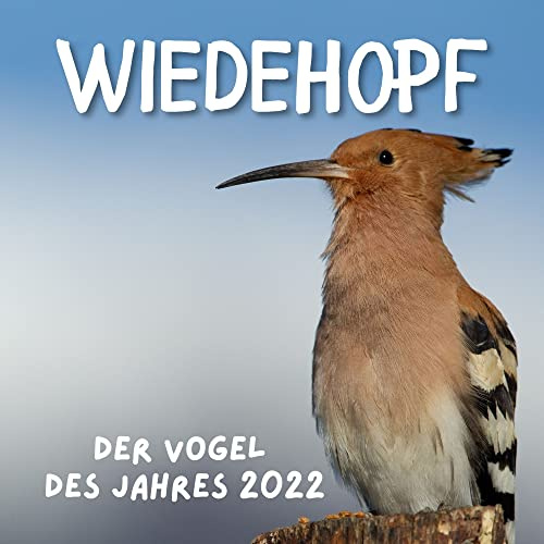 Wiedehopf: Der Vogel des Jahres 2022