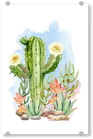 artboxONE Acrylglasbild 60x40 cm Natur Blühender Kaktus und Sukkulenten - Bild Kaktus blühen blüte